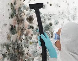 Reliable Graniteville, SC Mold Remediation Solutions